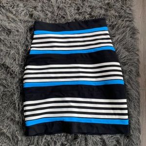 Express Skirt